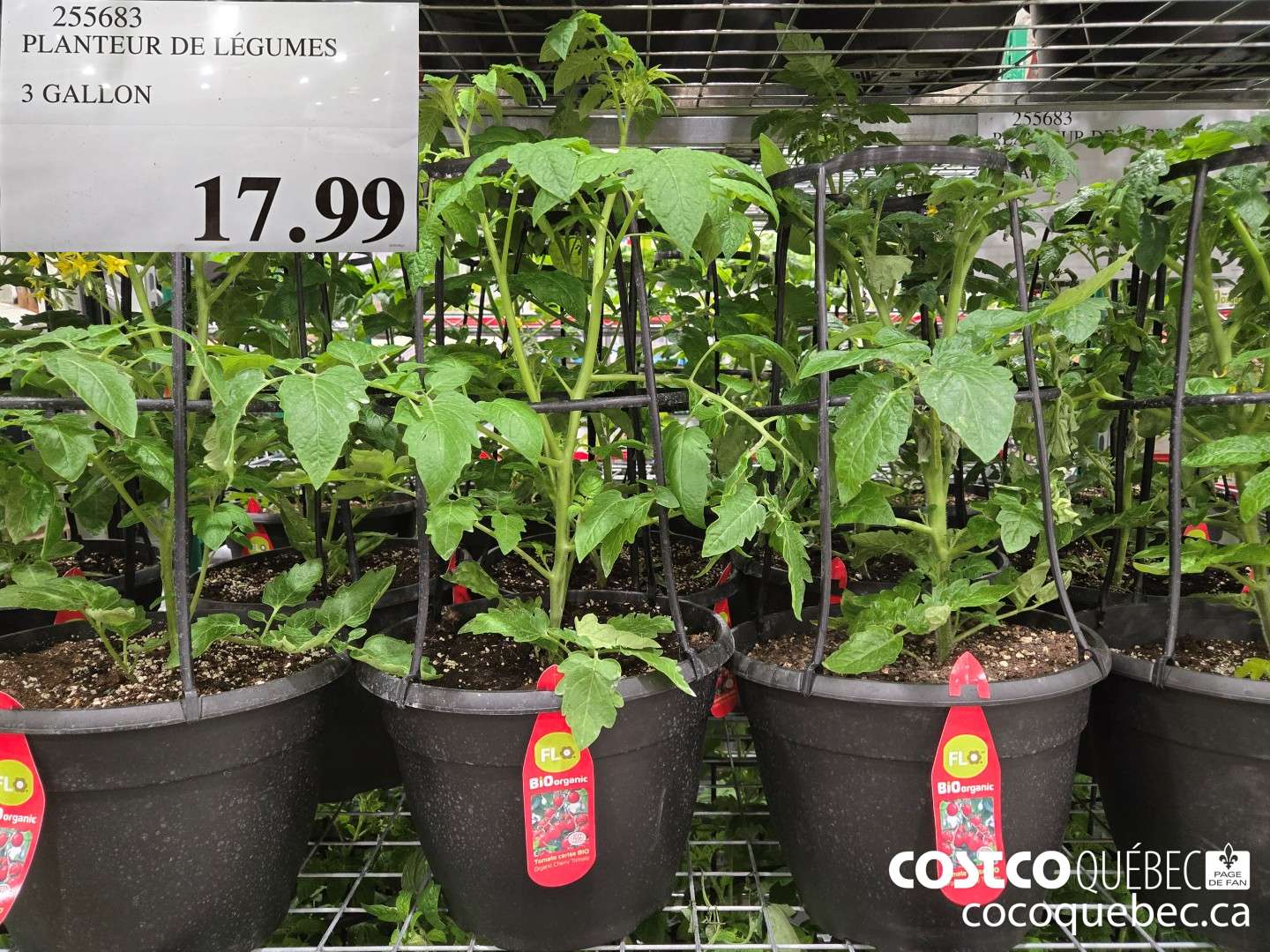 255683 PLANTEUR DE LEGUMES 3 GALLON  $17.99