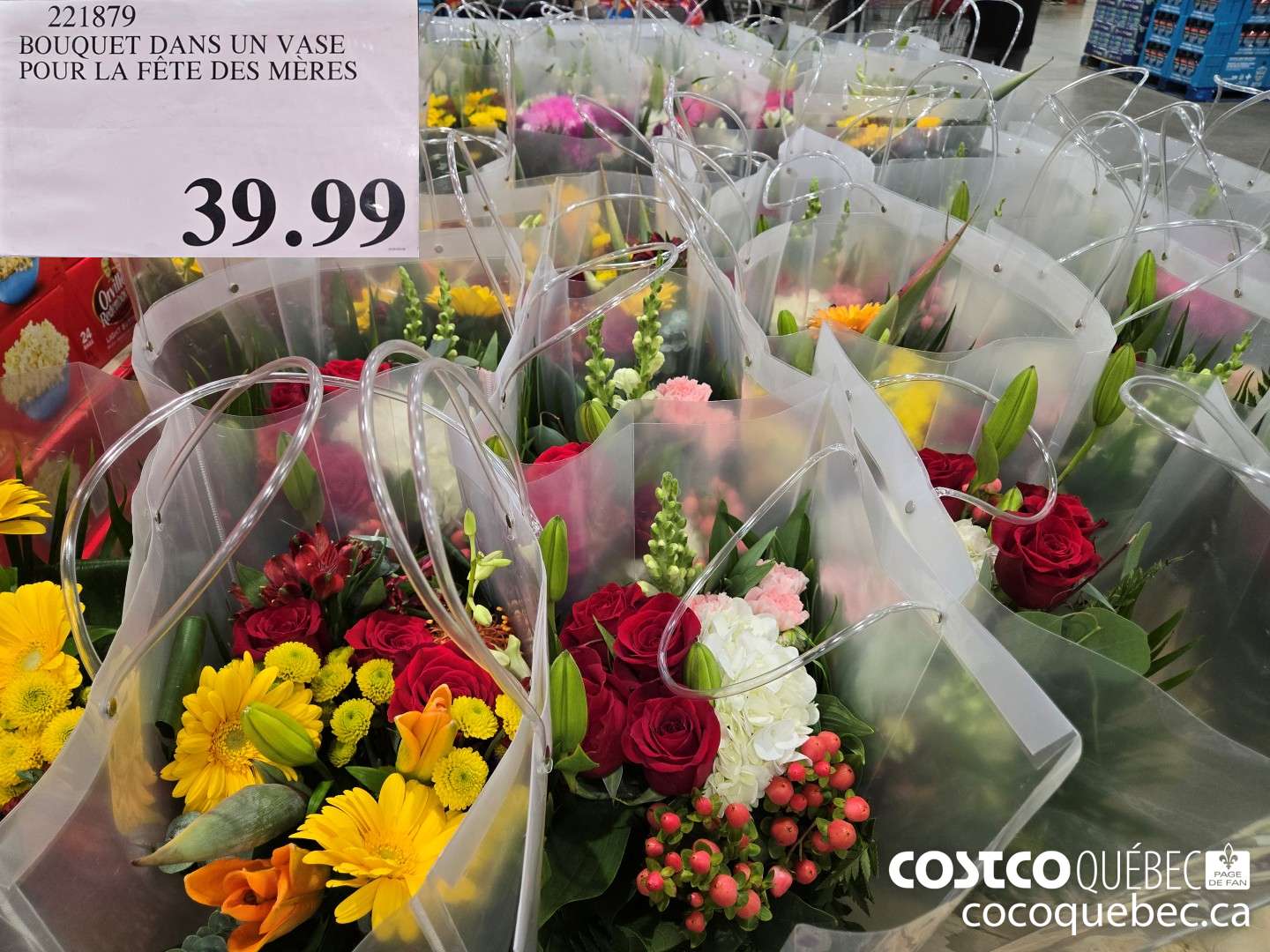 221879 BOUQUET DANS UN VASE POUR LA FETE DES MERES  $39.99