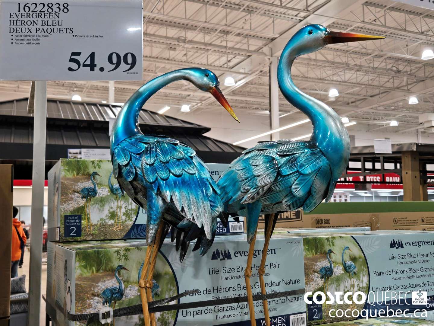 1622838 EVERGREEN HERON BLEU  $54.99