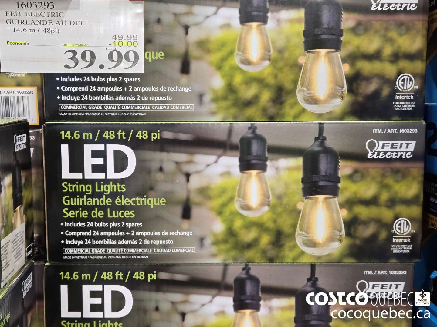 1603293 FEIT ELECTRIC GUIRLANDE AU DEL ~ 14.6 m ( 48pi)  ($10.00 INSTANT SAVINGS EXPIRES ON 2025-06-08) $39.99