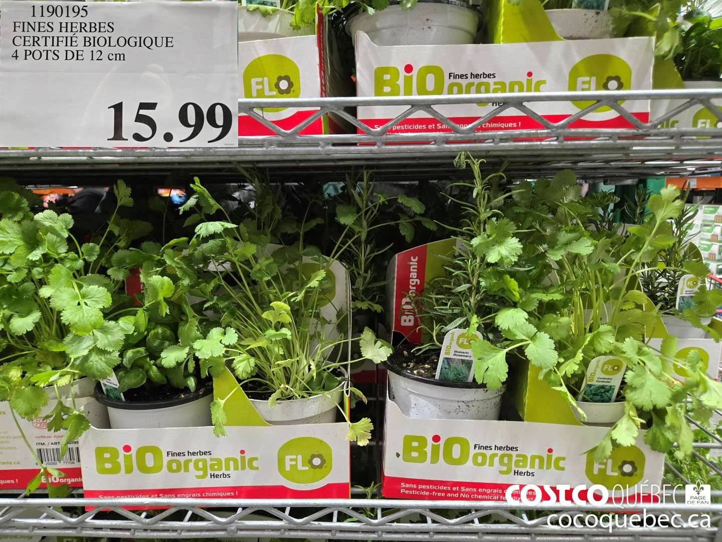 1190195 FINES HERBES CERTIFIE BIOLOGIQUE 4 POTS DE 12 cm  $15.99