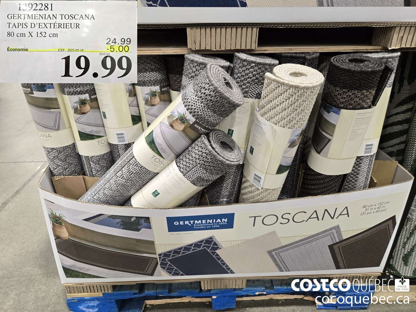 1392281 GERTMENIAN TOSCANA TAPIS D'EXTERIEUR 80cm X 152 cm oS) 19,99  ($5.00 INSTANT SAVINGS EXPIRES ON 2025-05-18) $19.99