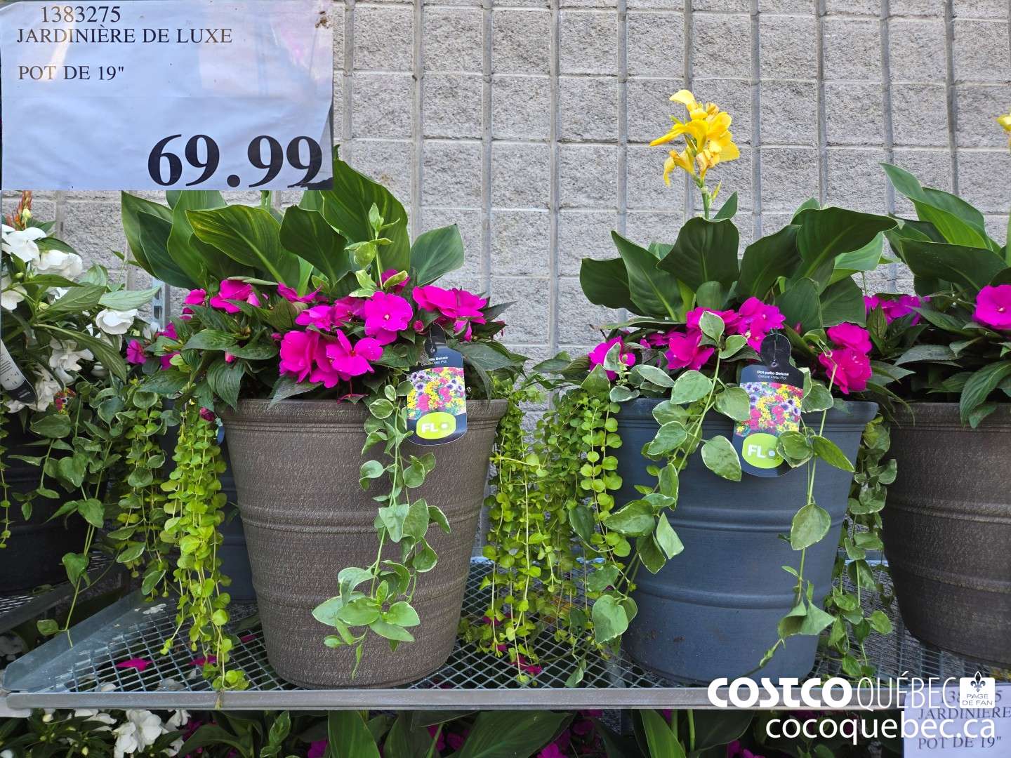 1383275 JARDINIERE DE LUXE POT DE 19  $69.99