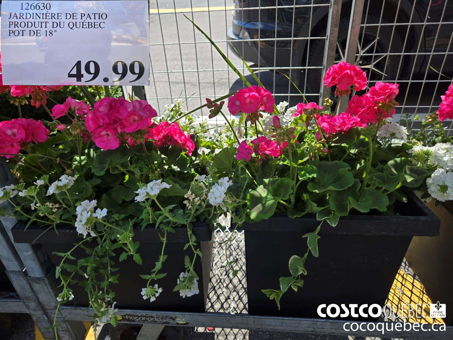 126630 JARDINIERE DE PATIO POT DE 18