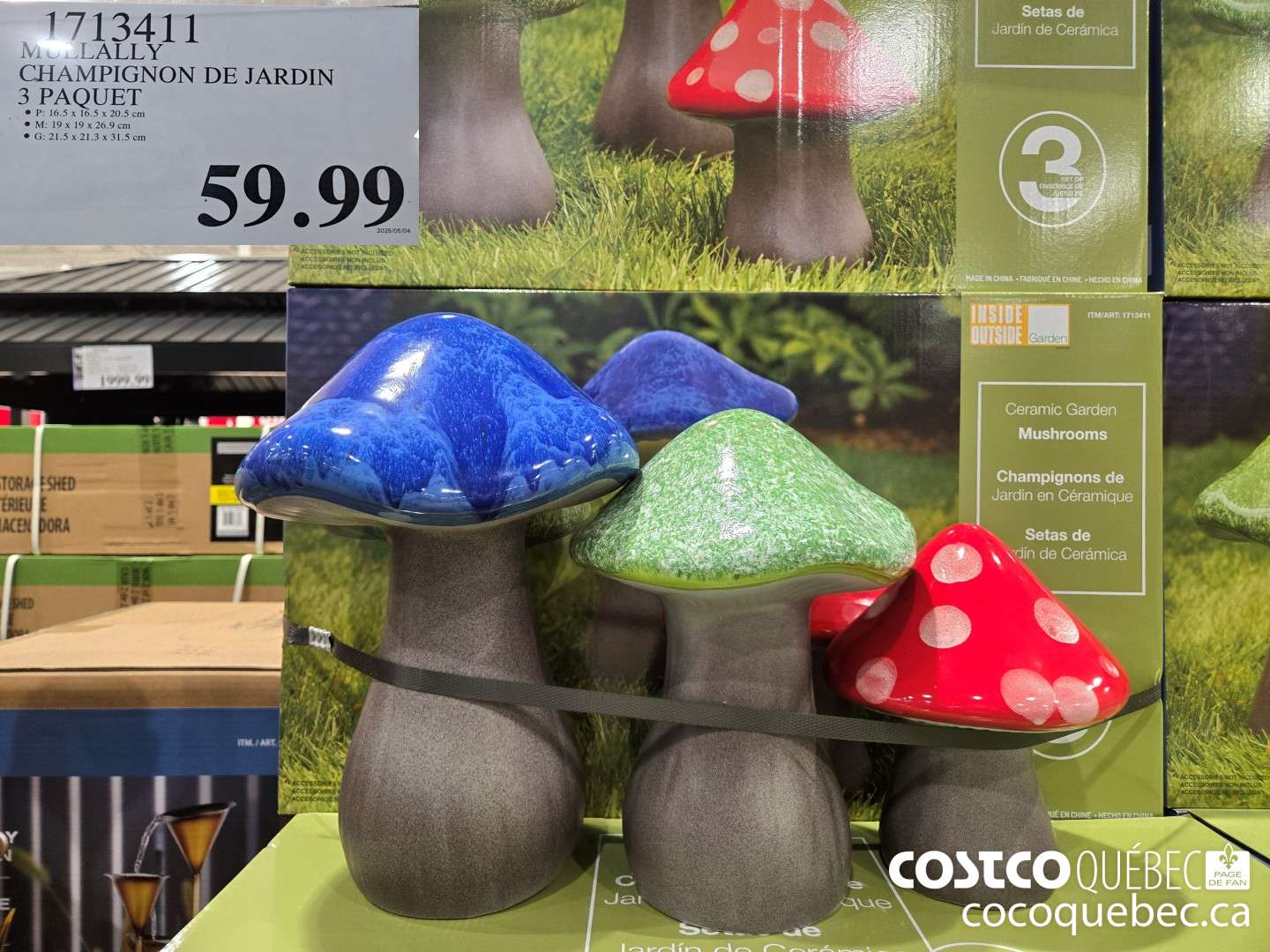 1713411 MOLLALLY CHAMPIGNON DE JARDIN  $59.99