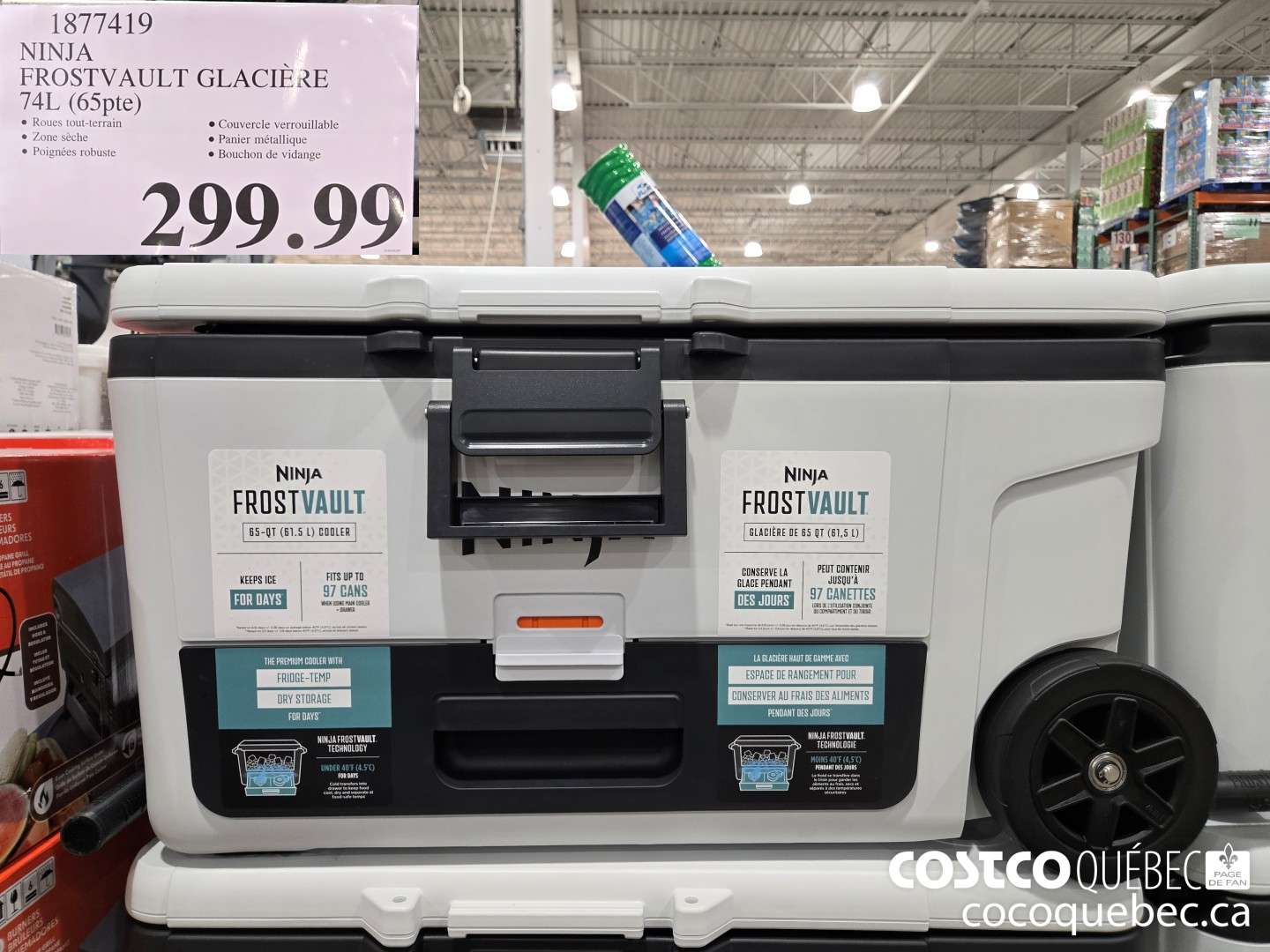 1877419 NINJA FROSTVAULT GLACIERE 74L (65pte)  $299.99