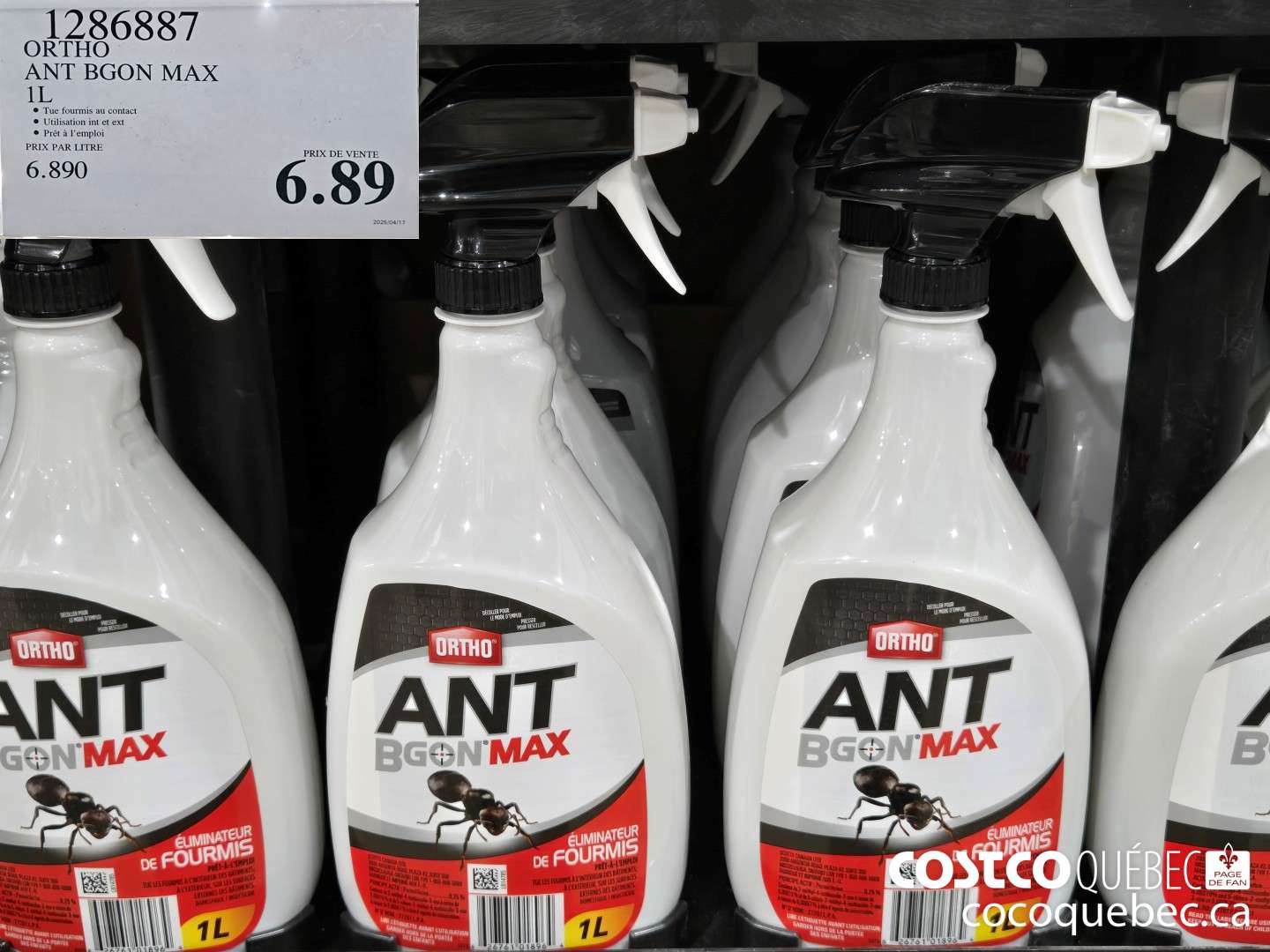 1286887 ORTHO ANT BGON MAX $6.99