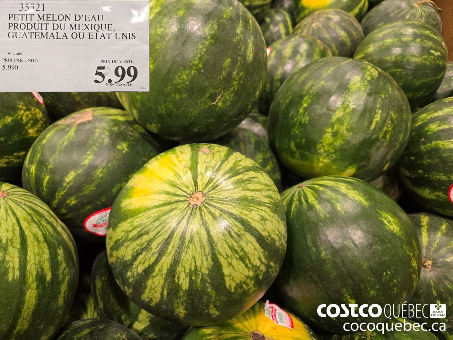 35521 PETIT MELON D'EAU PRODUIT DU MEXIQUE, GUATEMALA OU ETAT UNIS  $5.99