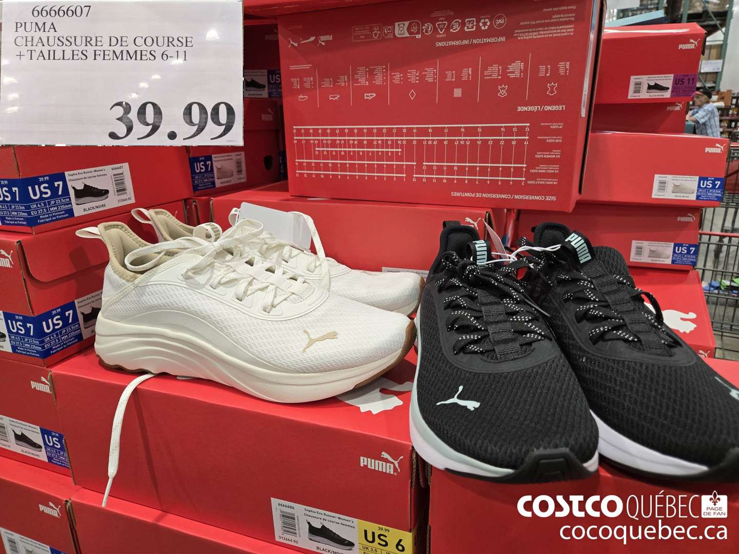 6666607 PUMA CHAUSSURE DE COURSE +TAILLES FEMMES 6-11  $39.99