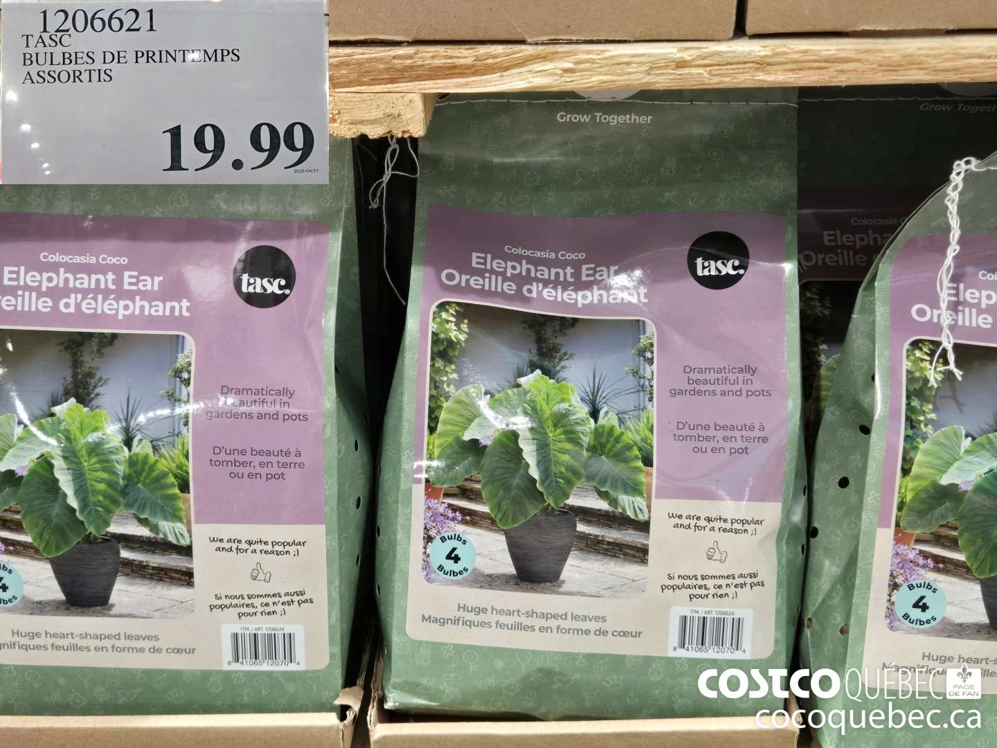 1206621 TASC BULBES DE PRINTEMPS ASSORTIS  $19.99