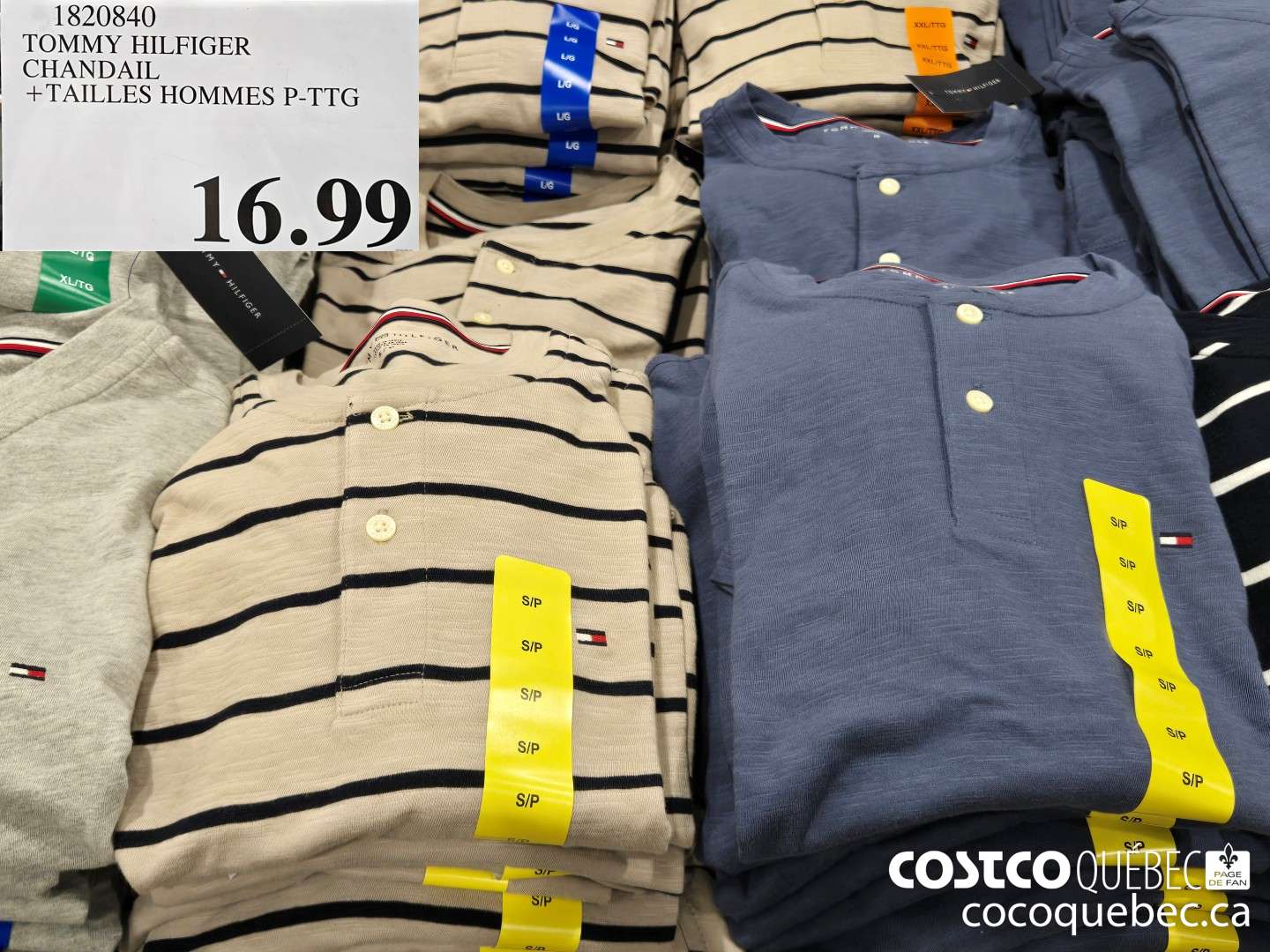 1820840 TOMMY HILFIGER CHANDAIL + TAILLES HOMMES P-TTG  $16.99