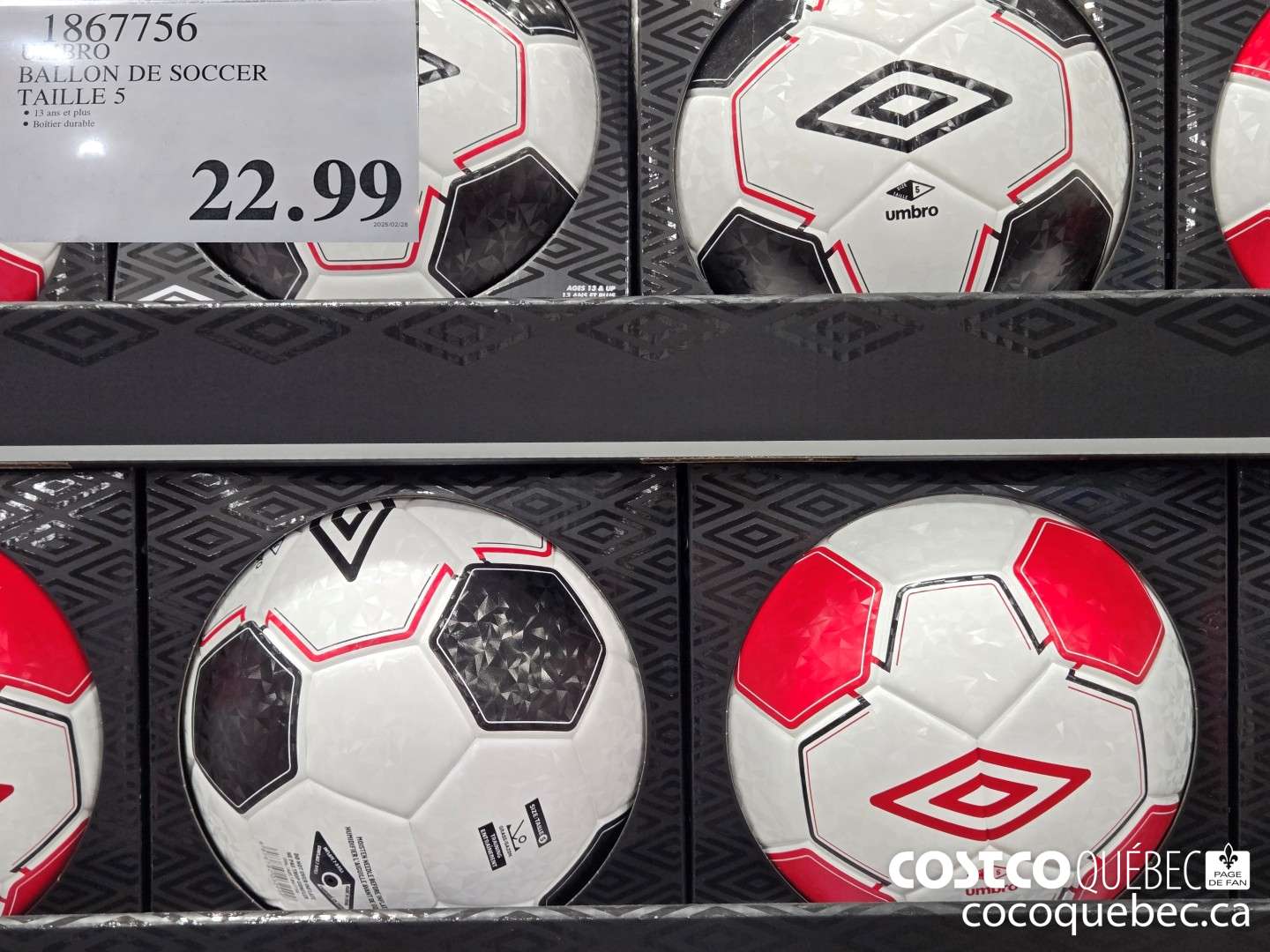 1867756 UMBRO BALLON DE SOCCER TAILLE 5  $22.99