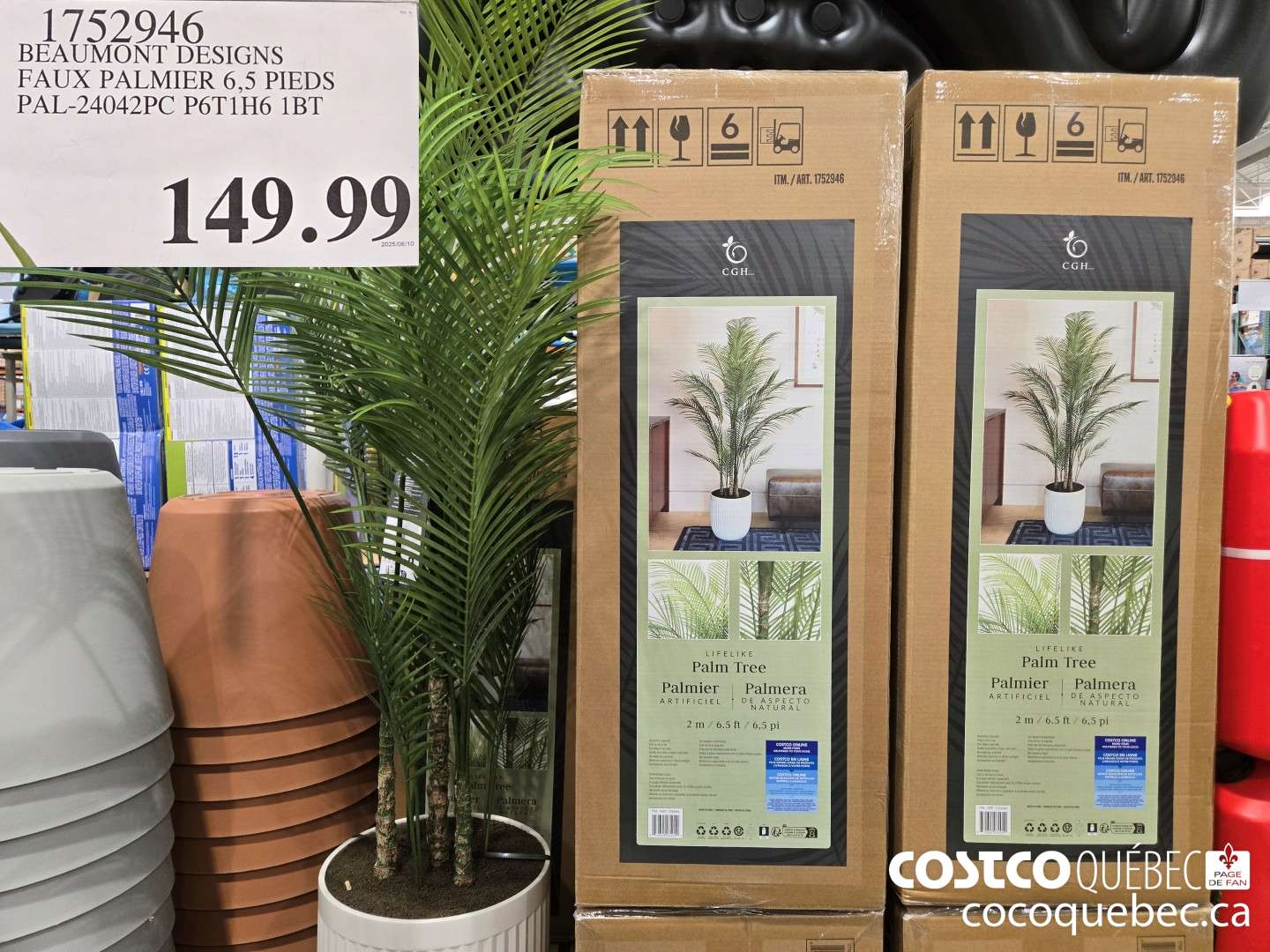 1752946 BEAUMONT DESIGNS FAUX PALMIER 6,5 PIEDS  $149.99