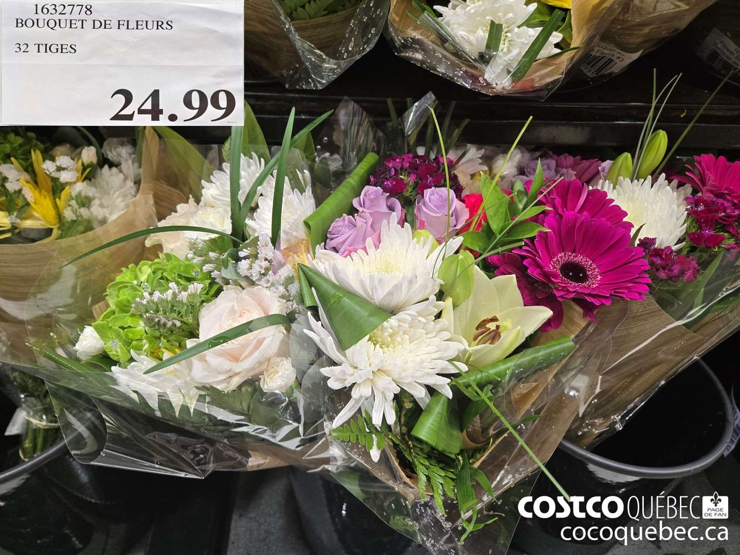 1632778 BOUQUET DE FLEURS $24.99