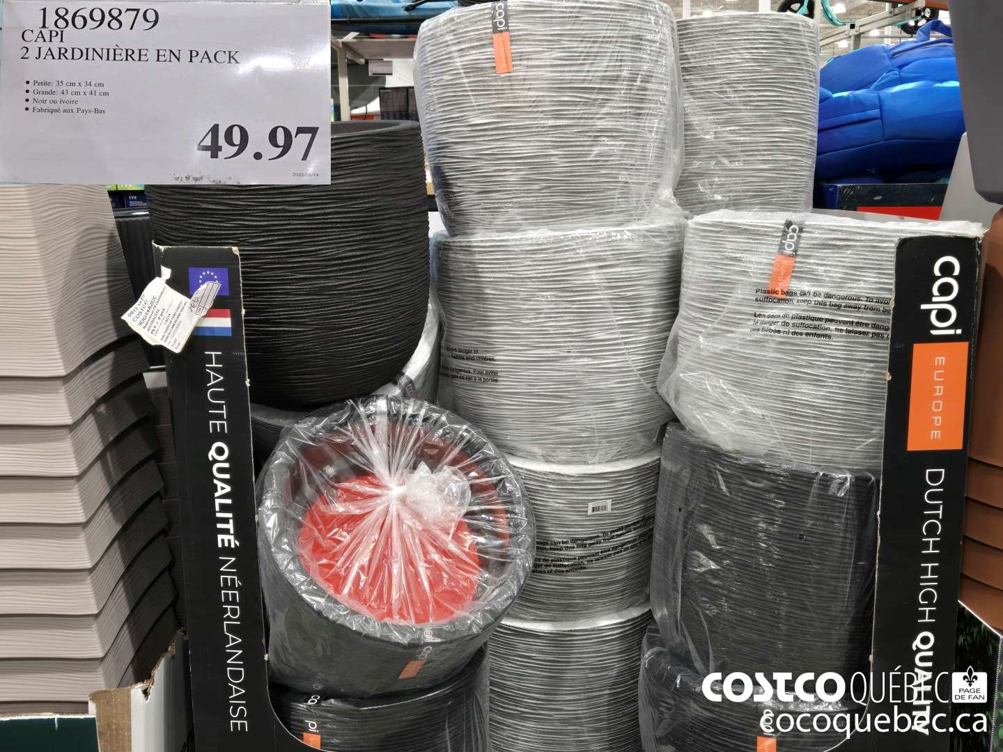 1869879 CAPI 2 JARDINIERE EN PACK  $49.97