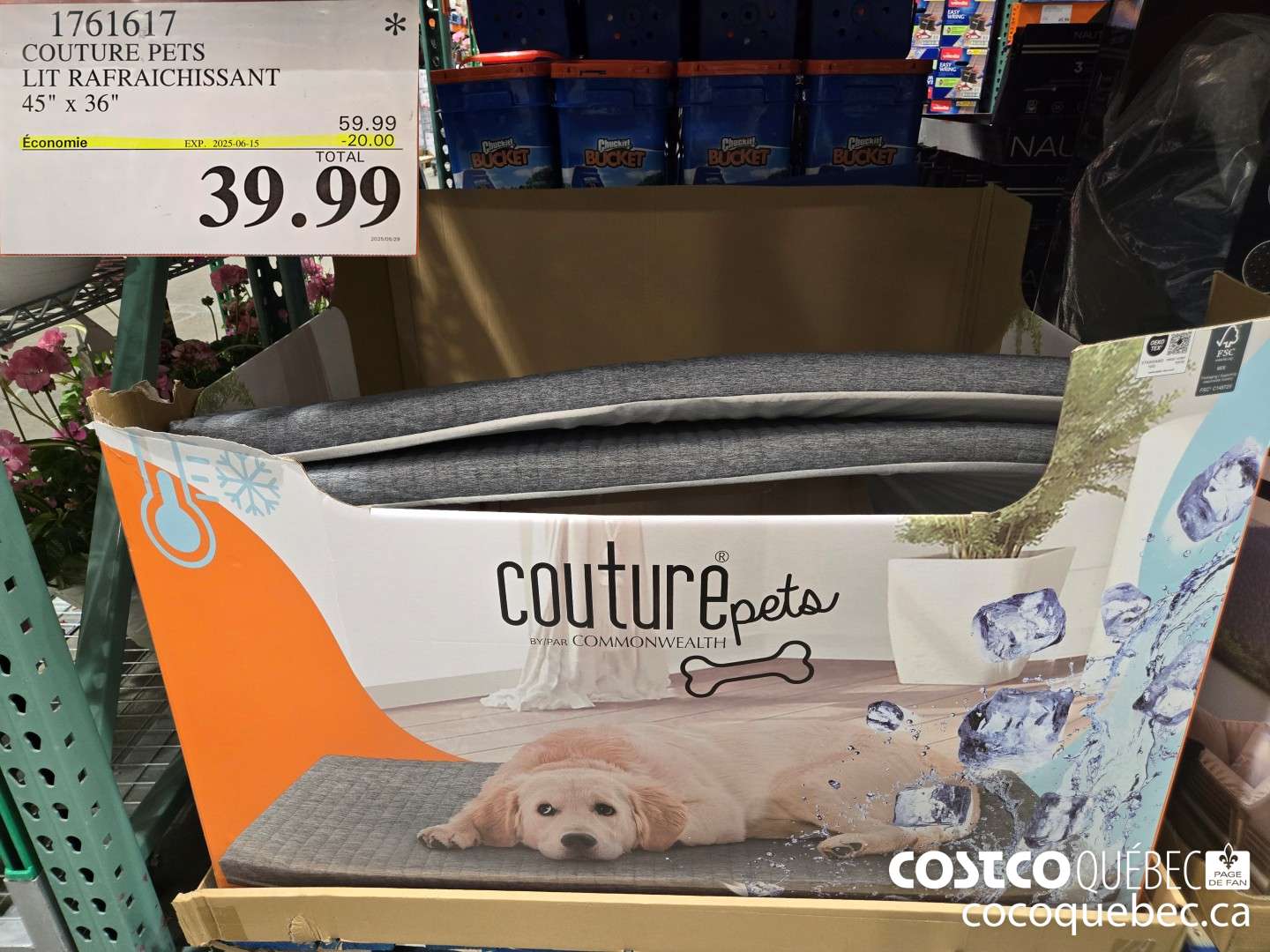 1761657 COUTURE PETS LIT RAFRAICHISSANT 45