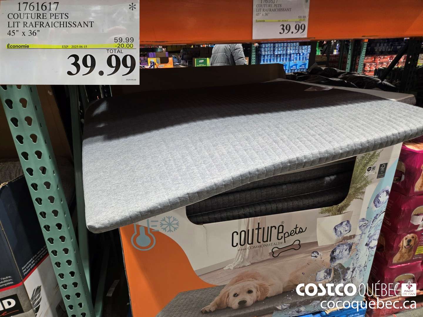 1761617 COUTURE PETS LIT RAFRAICHISSANT  ($20.00 INSTANT SAVINGS EXPIRES ON 2025-06-15) $39.99