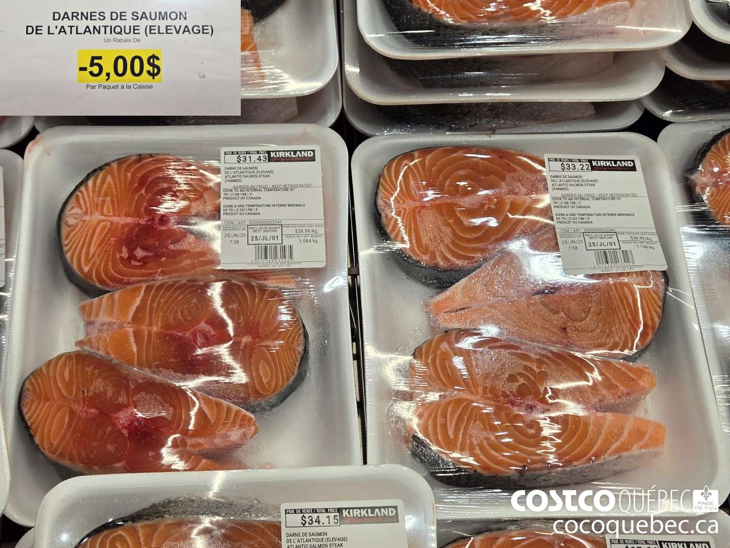 12 DARNES D SAUMON DE L'ANTIQUE ($5.00 INSTANT SAVINGS)