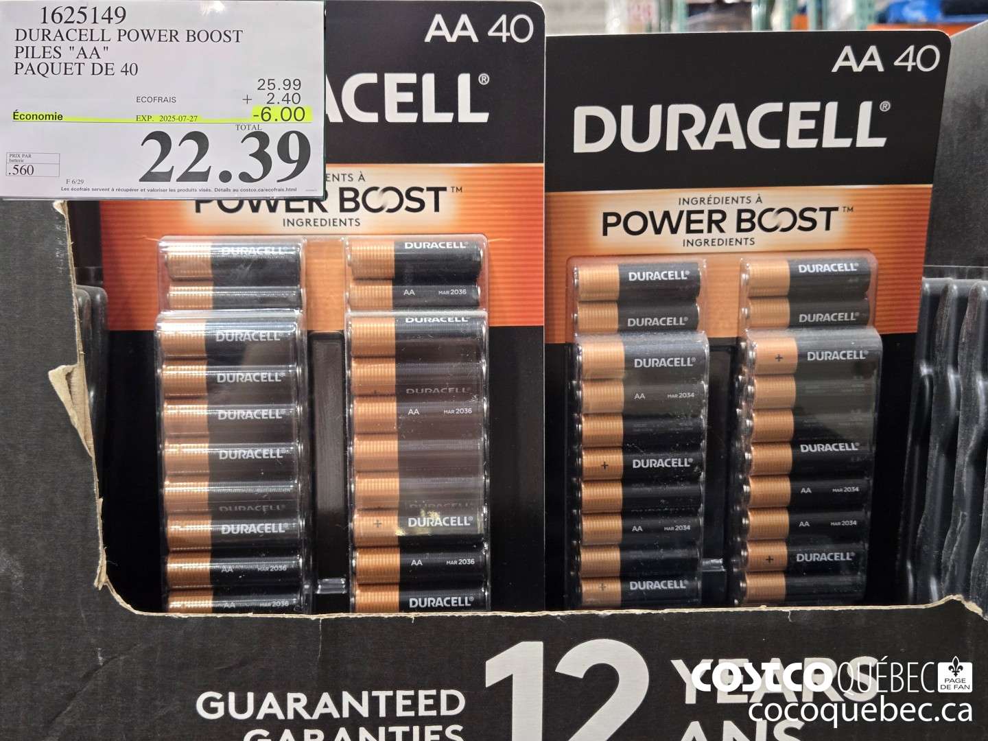 1625149 DURACELL POWER BOOST PILES 