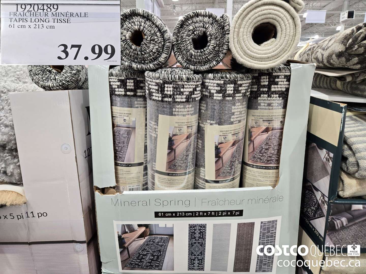 1920489 FRAICHEUR MINERALE TAPIS LONG TISSE 61 cm x 213 cm  $37.99