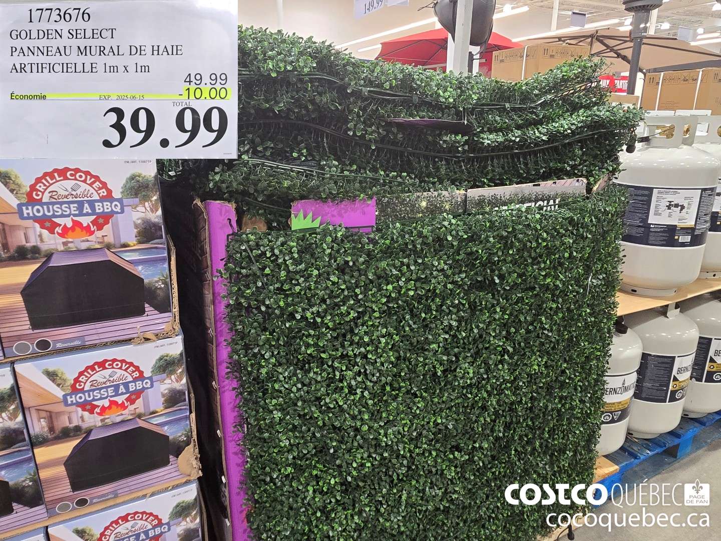 1773676 GOLDEN SELECT PANNEAU MURAL DE HAIE ARTIFICIELLE 1m x 1m  ($10.00 INSTANT SAVINGS EXPIRES ON 2025-06-15) $39.99