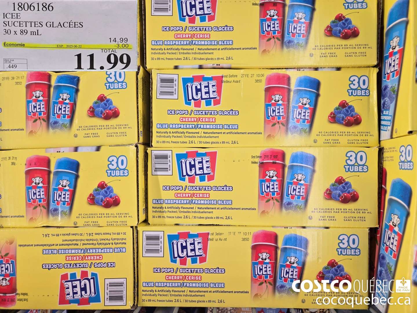 1806186 ICEE SUCETTES GLACEES 30 x 89 mL  ($3.00 INSTANT SAVINGS EXPIRES ON 2025-06-22) $11.99