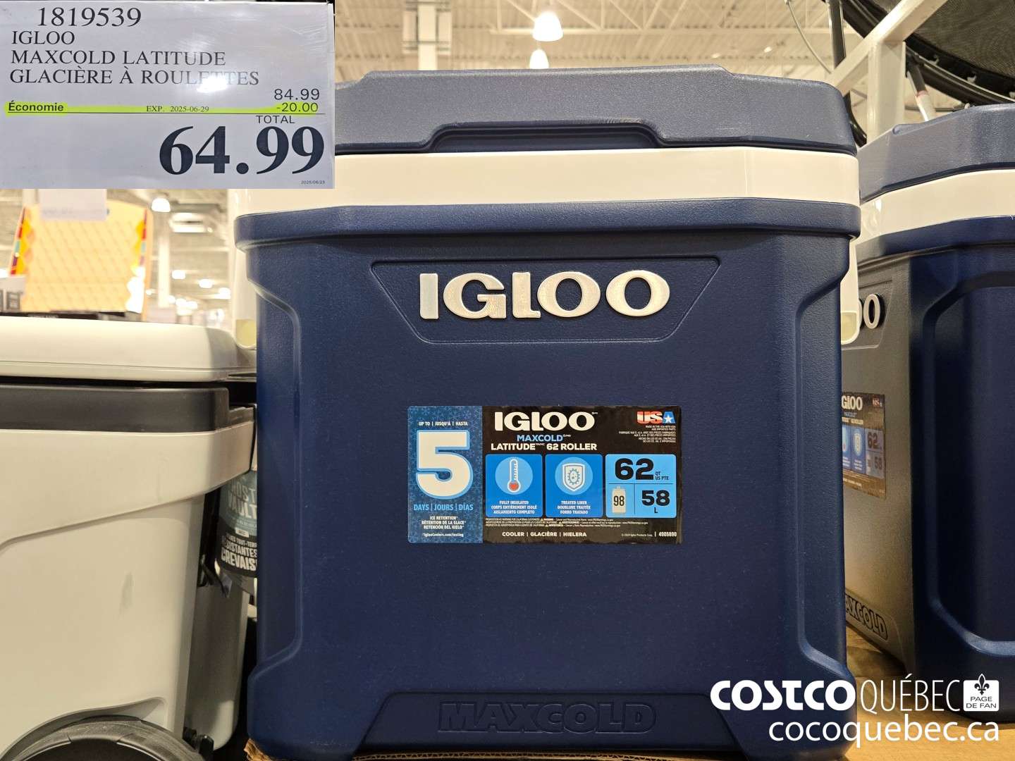 1819539 IGLOO MAXCOLD LATITUDE  ($20.00 INSTANT SAVINGS EXPIRES ON 2025-06-29) $64.99