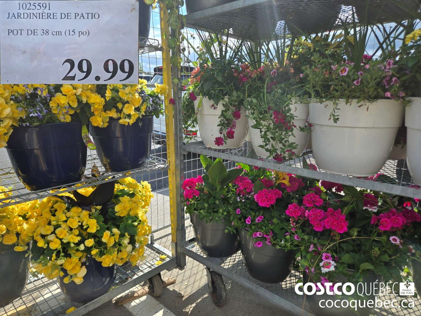 1025591 JARDINIERE DE PATIO POT DE 38 cm (15 po)  $29.99