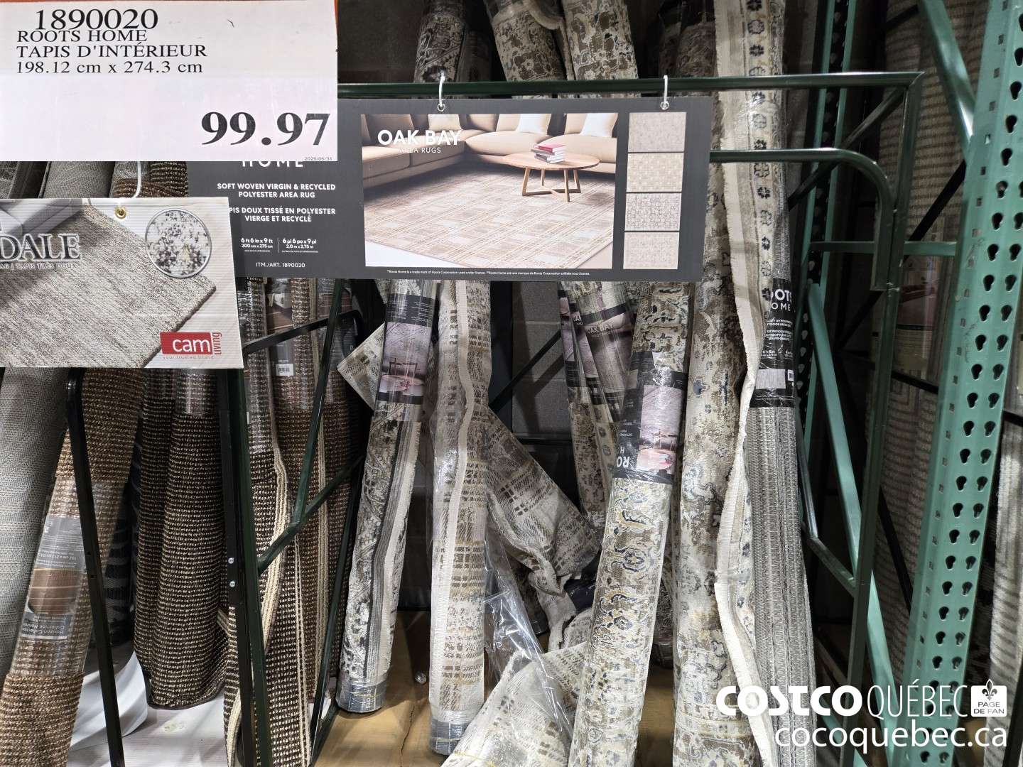1890020 ROOTS HOME TAPIS D'INTERIEUR 198.12 em x 274 3 em  $99.97