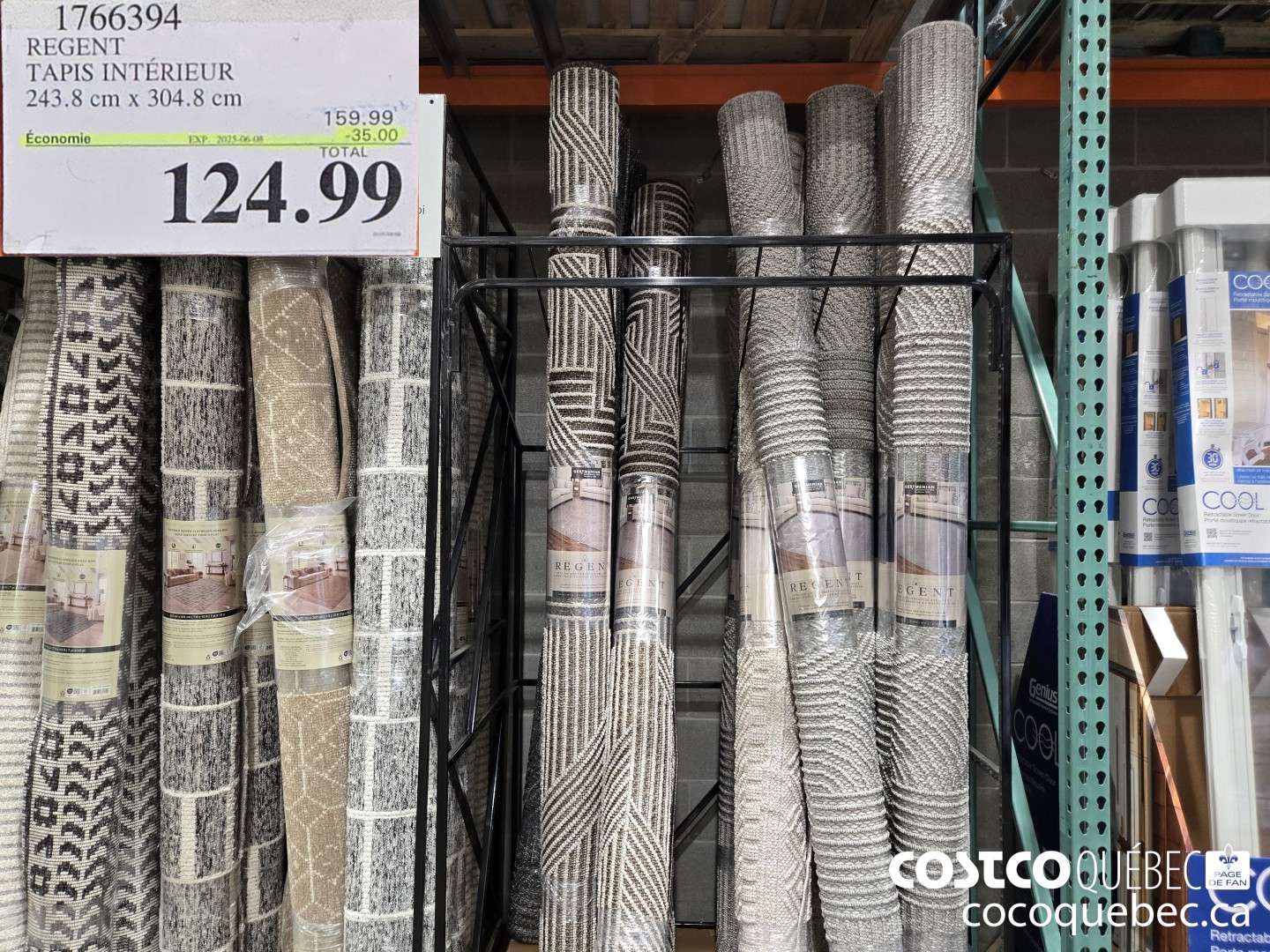 1766394 TAPIS INTERIEUR 243.8 cm x 304.8 cm  ($35.00 INSTANT SAVINGS EXPIRES ON 2025-06-08) $124.99