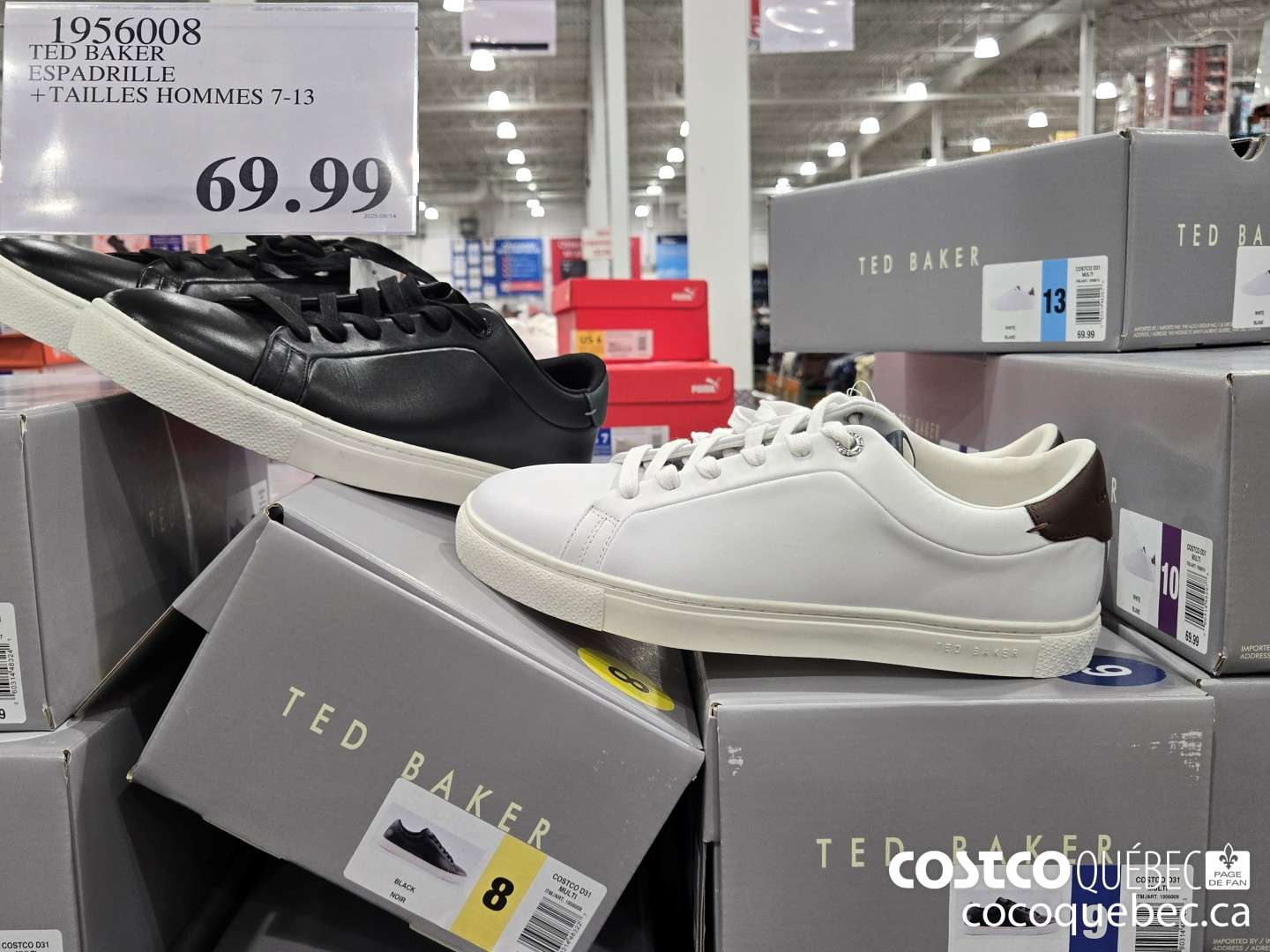 956008 TED BAKER ESPADRILLE +TAILLES HOMMES 7-13  $69.99