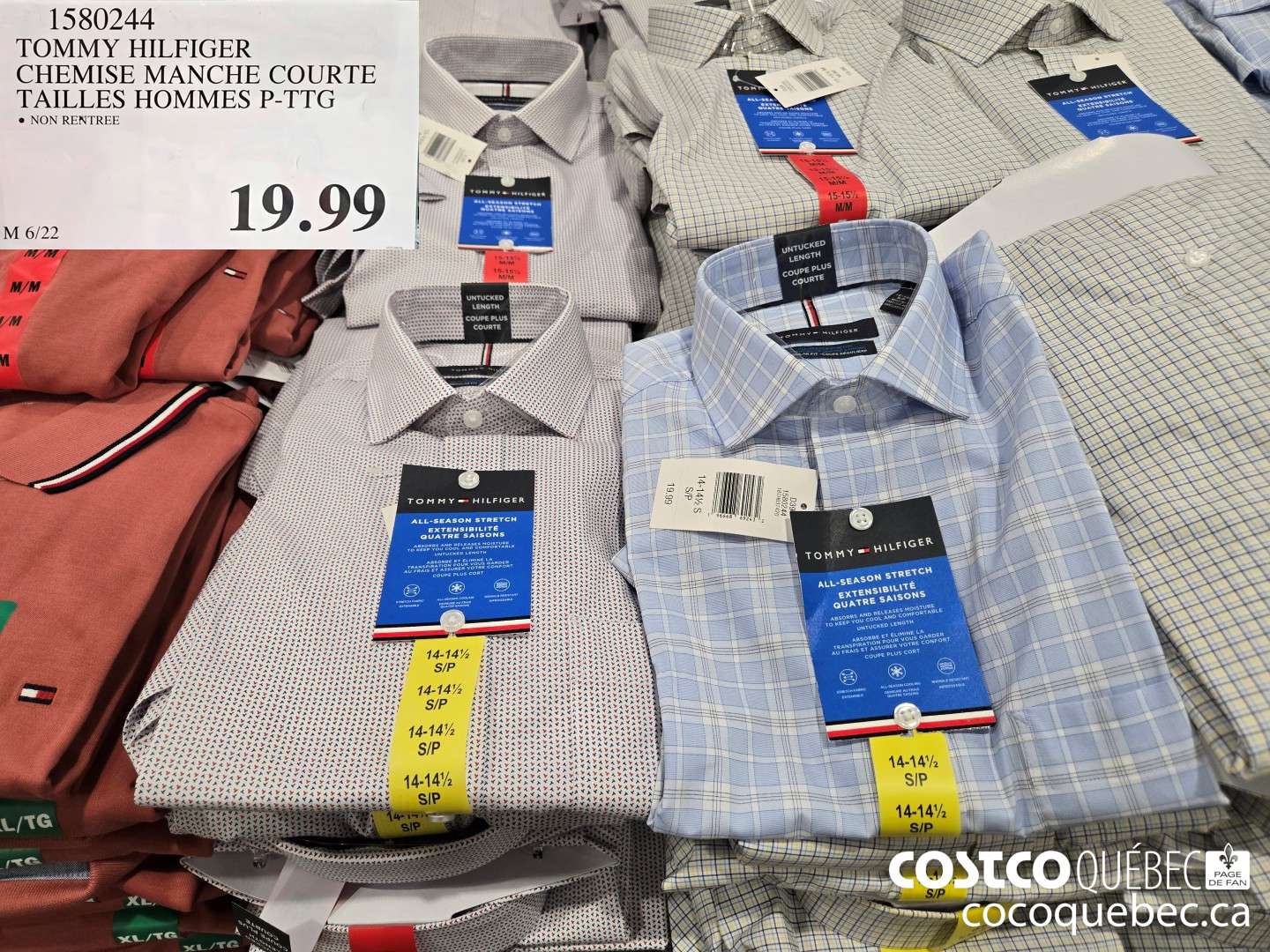 1580244 TOMMY HILFIGER CHEMISE MANCHE COURTE TAILLES HOMMES P-TTG  $19.99