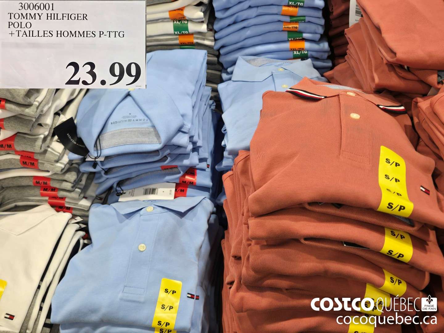 3006001 TOMMY HILFIGER POLO + TAILLES HOMMES P-TTG  $23.99