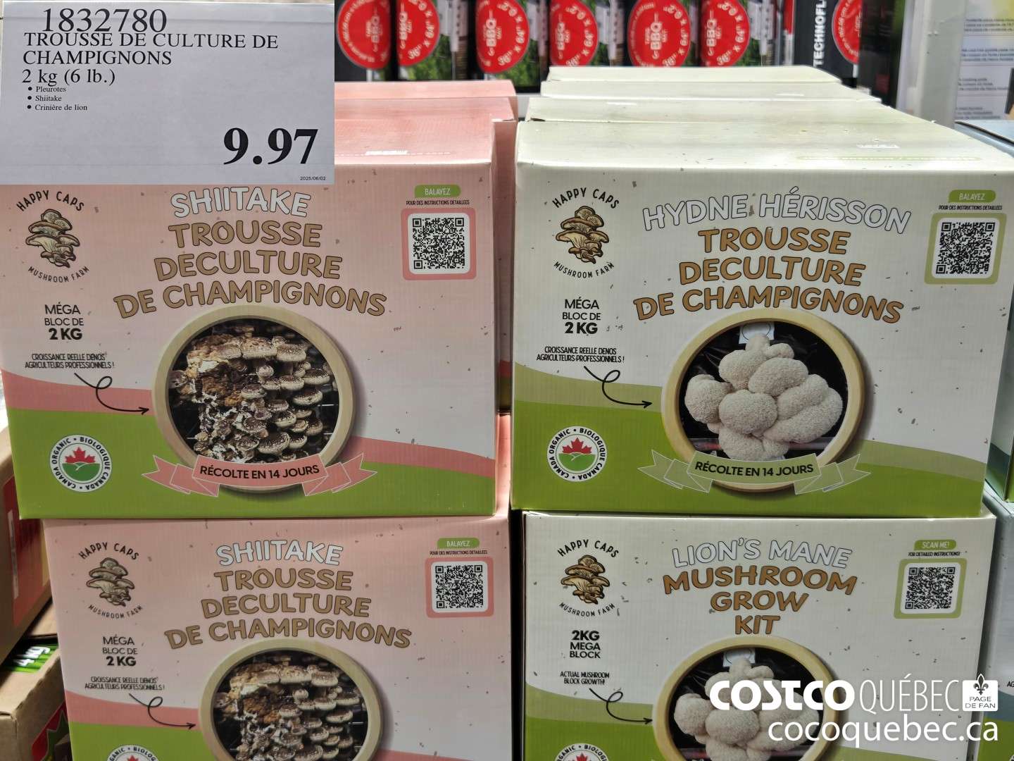 1832780 TROUSSE DE CULTURE DE CHAMPIGNONS  $9.97