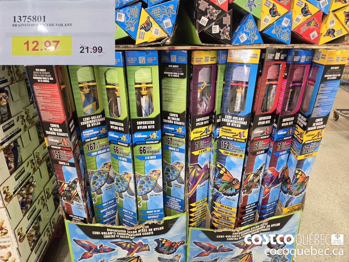 1375801 X-KITES CERF-VOLANTS EN NYLON ASSORTIS  $12.97