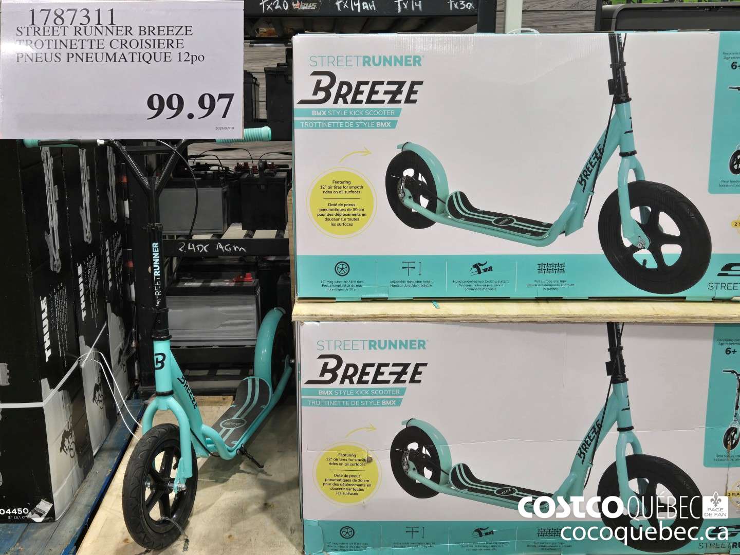 1787311 DARNES D SAUMON DE L'ANTIQUE $99.97