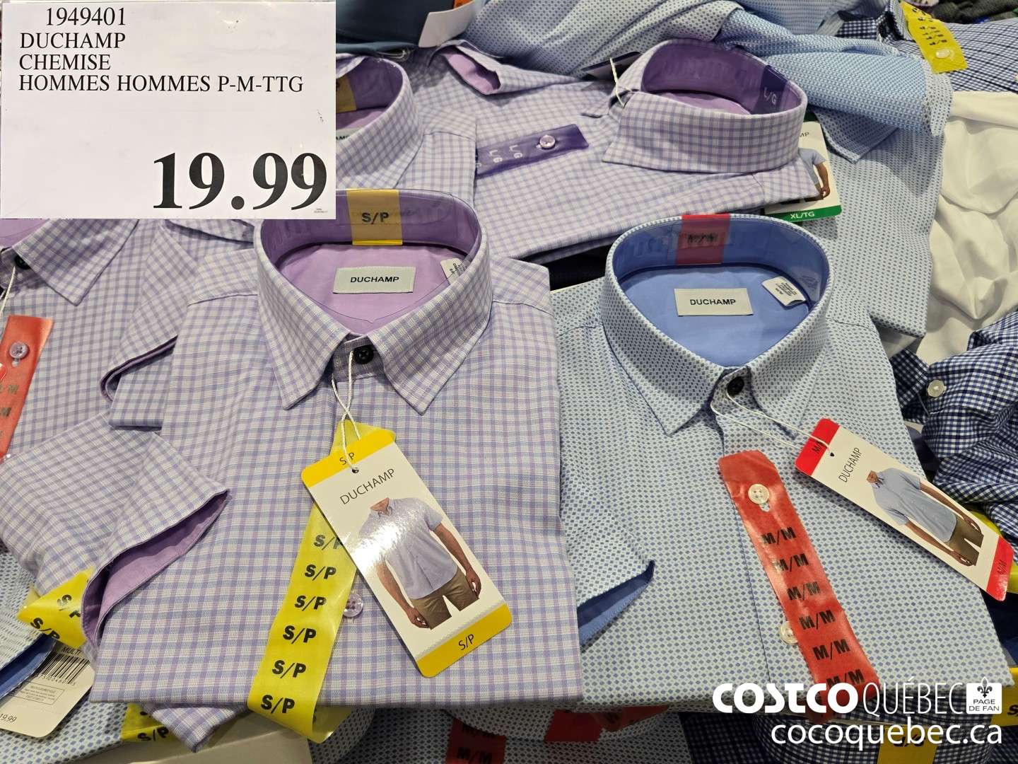 1949401 DUCHAMP CHEMISE HOMMES HOMMES P-M-TTG  $19.99