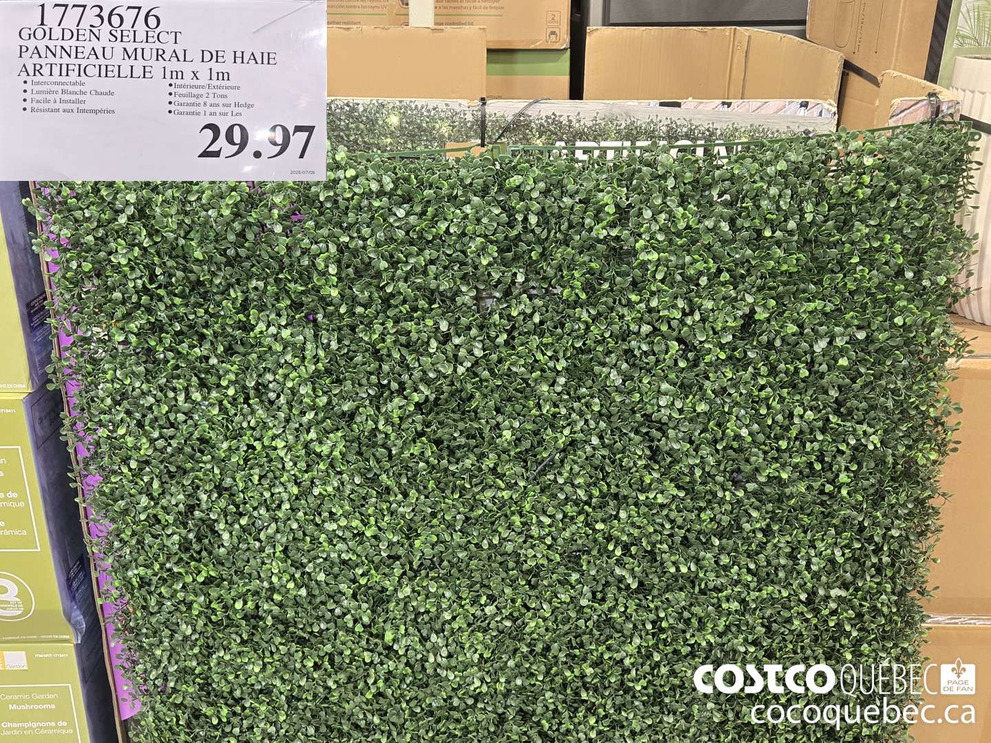 1773676 GOLDEN SELECT PANNEAU MURAL DE HAIE ARTIFICIELLE 1m x 1m  $29.97