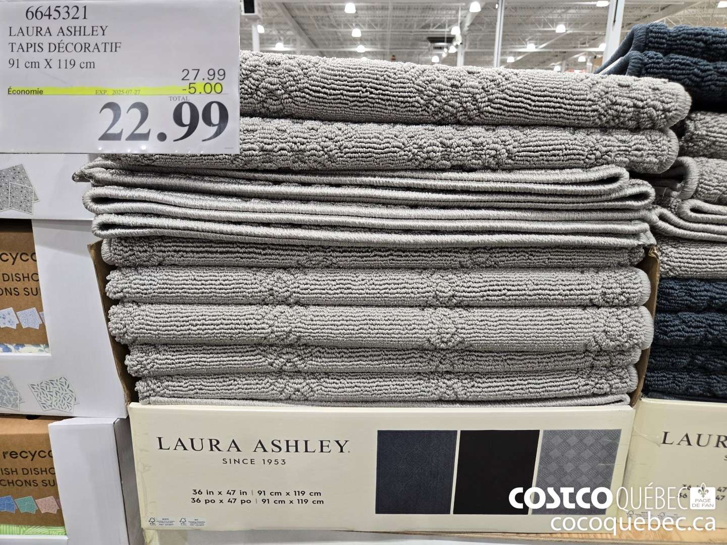 6645321 LAURA ASHLEY TAPIS DECORATIF 91 cm X 119 cm  ($5.00 INSTANT SAVINGS EXPIRES ON 2025-07-27) $22.99