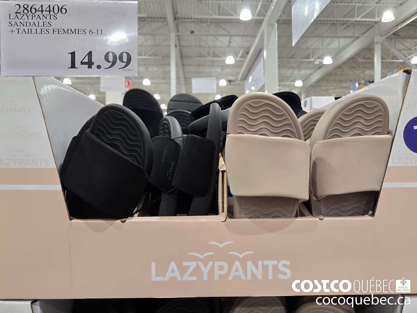 2864406 LAZYPANTS SANDALES +TAILLES FEMMES 6-11  $14.99