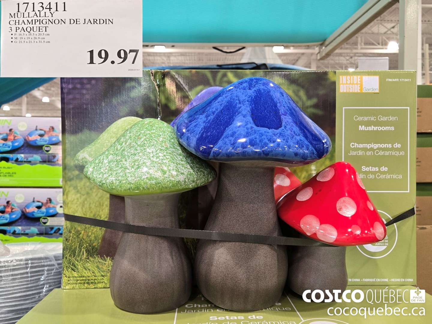 1713411 MOLLALLY CHAMPIGNON DE JARDIN  $19.97