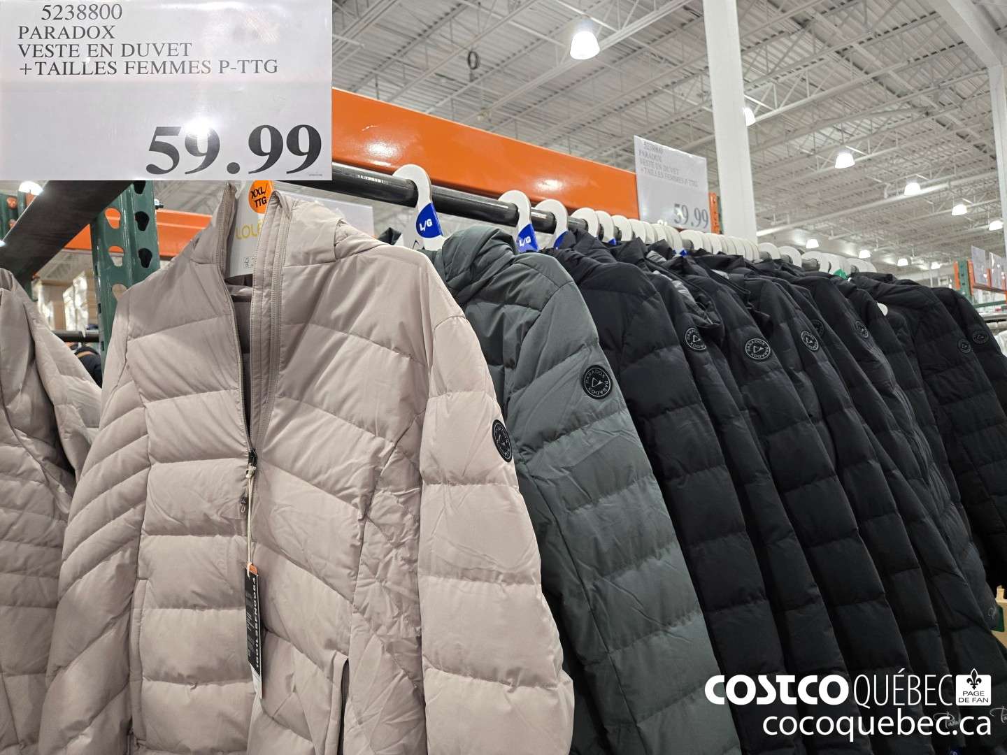 5238800 PARADOX VESTE EN DUVET +TAILLES FEMMES P-TTG  $59.99