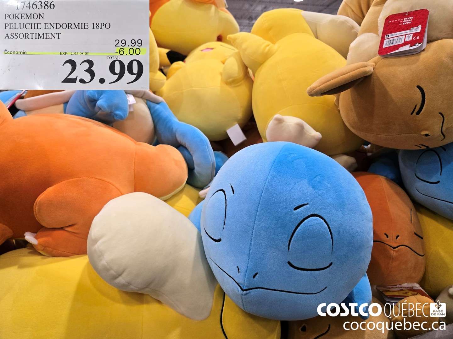 1746386 POKEMON PELUCHE ENDORMIE 18PO ASSORTIMENT  ($6.00 INSTANT SAVINGS EXPIRES ON 2025-08-03) $23.99