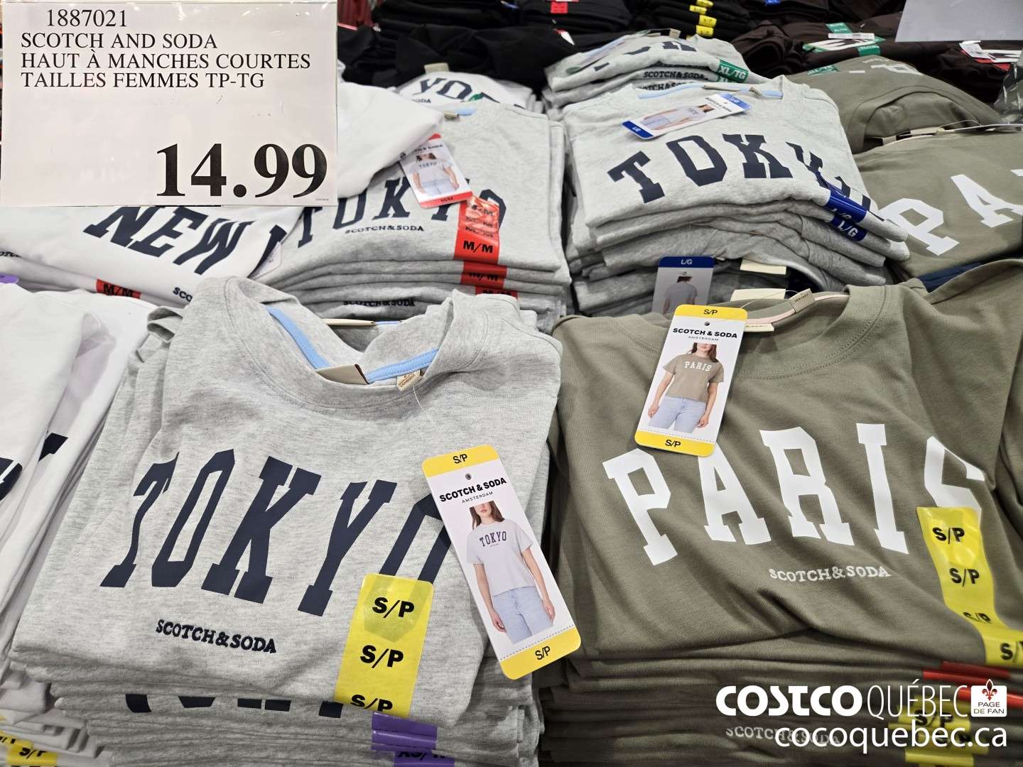 1887021 SCOTCH AND SODA HAUT A MANCHES COURTES TAILLES FEMMES TP-TG  $14.99