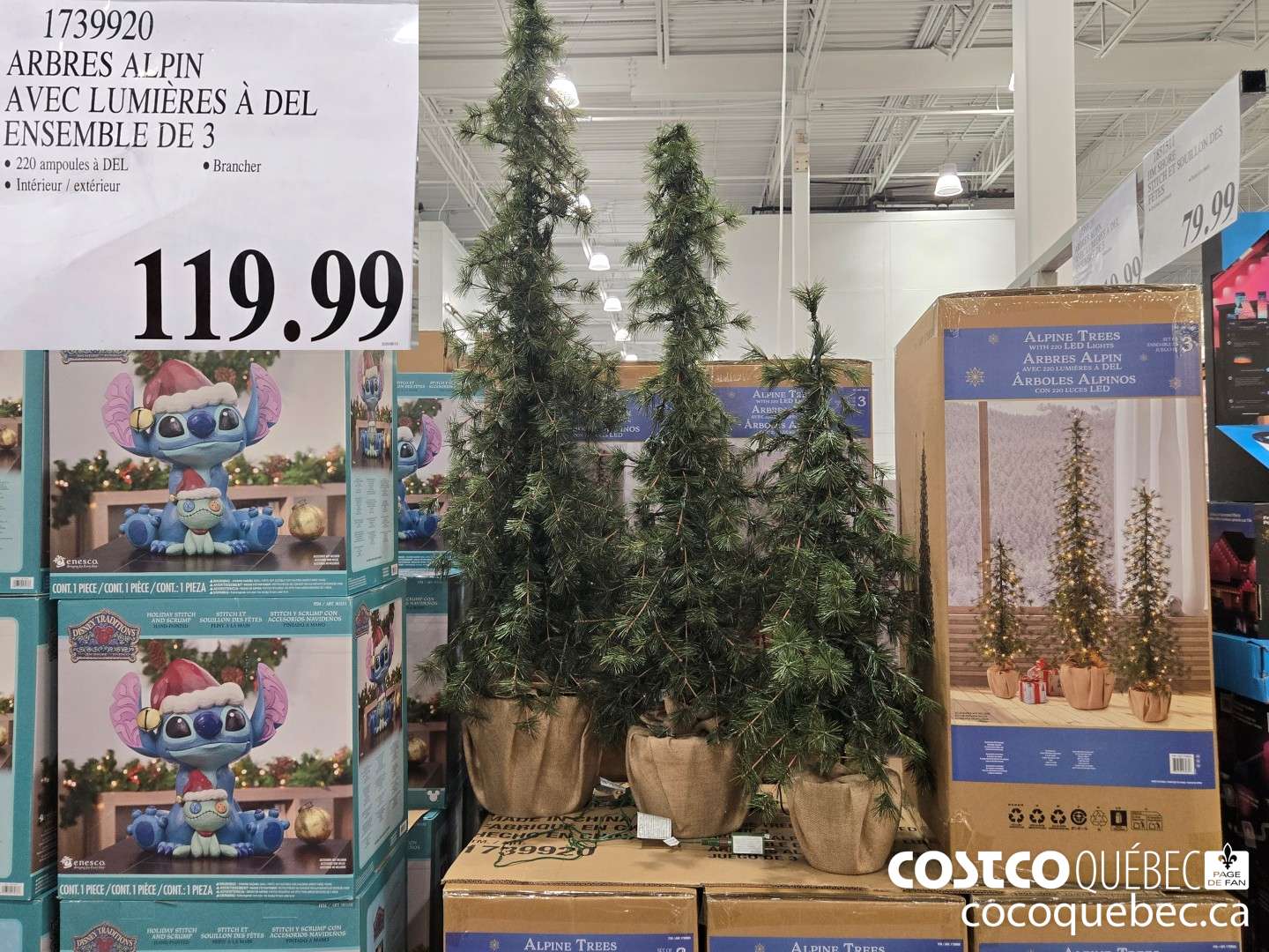 1739920 ARBRES ALPIN. AVEC LUMIERES A DEL ENSEMBLE DE 3  $119.99