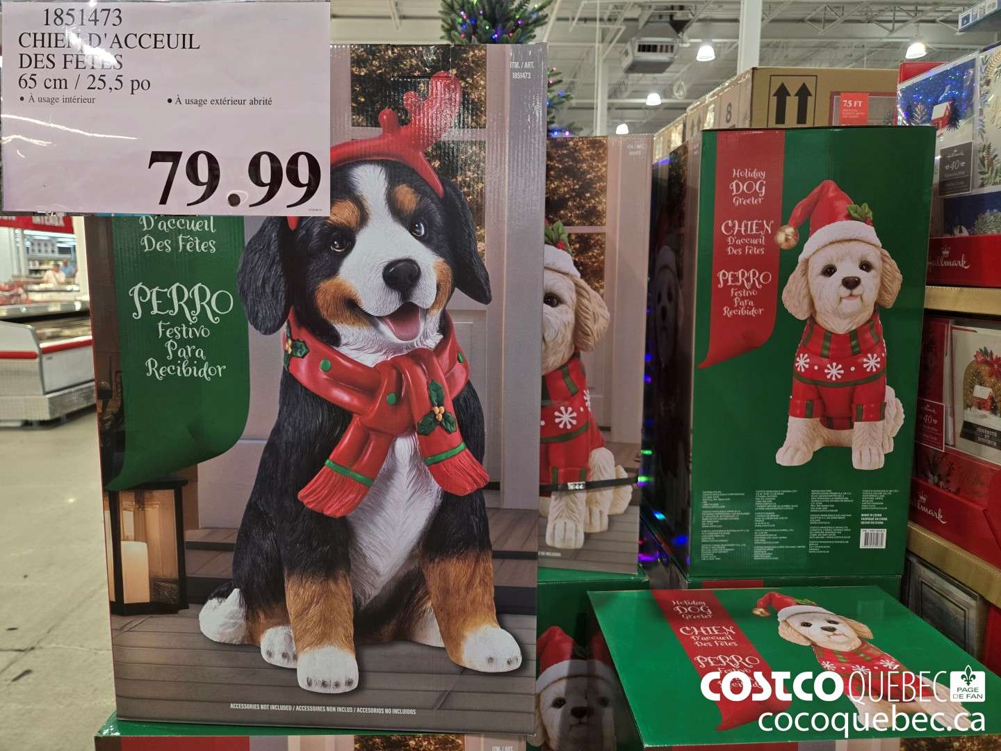 1851473 CHIEN D 'ACCEUIL  $79.99