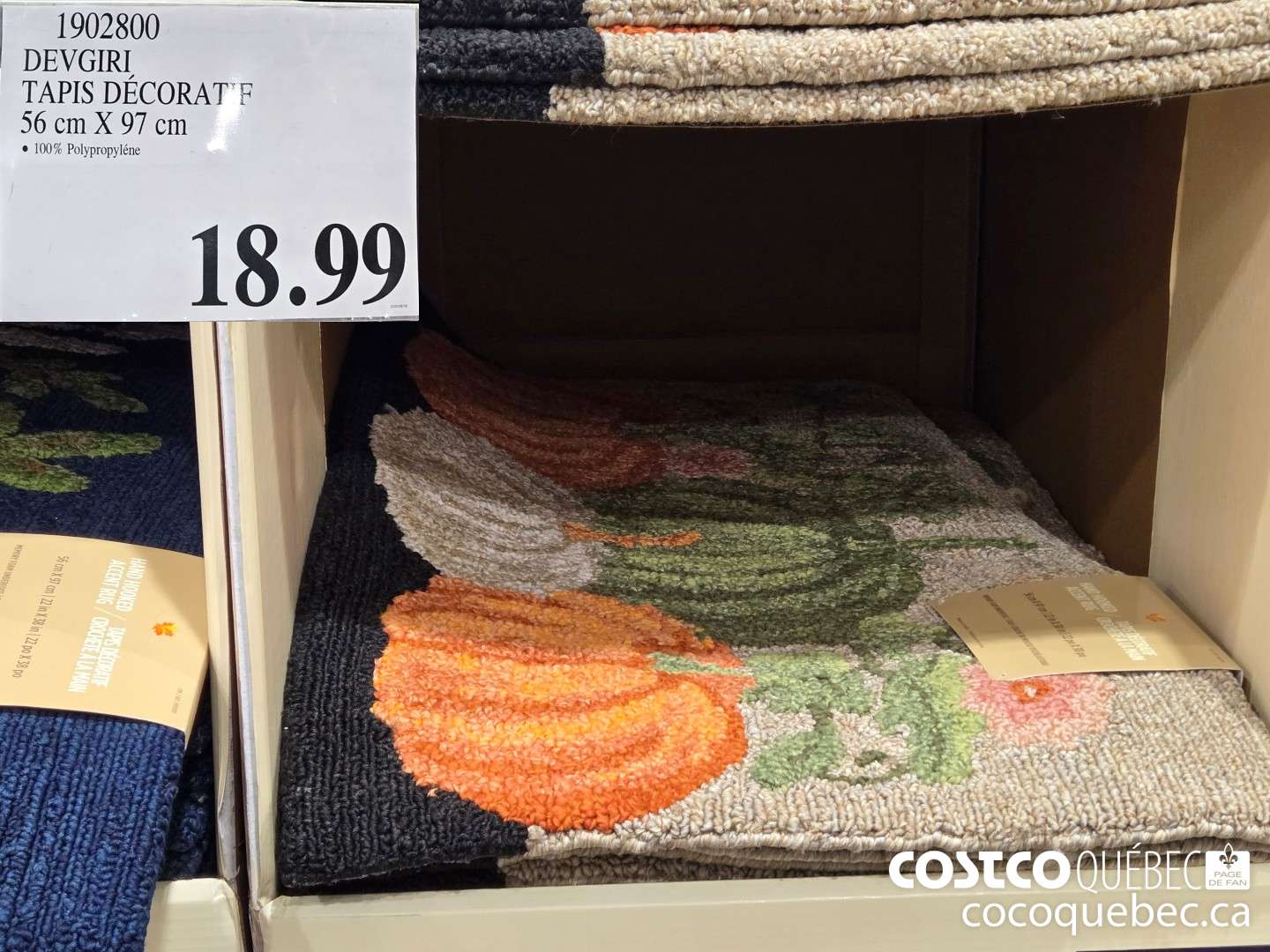 1902800 DEVGIRI TAPIS DECORATIF 56 cm X 97 cm  $18.99