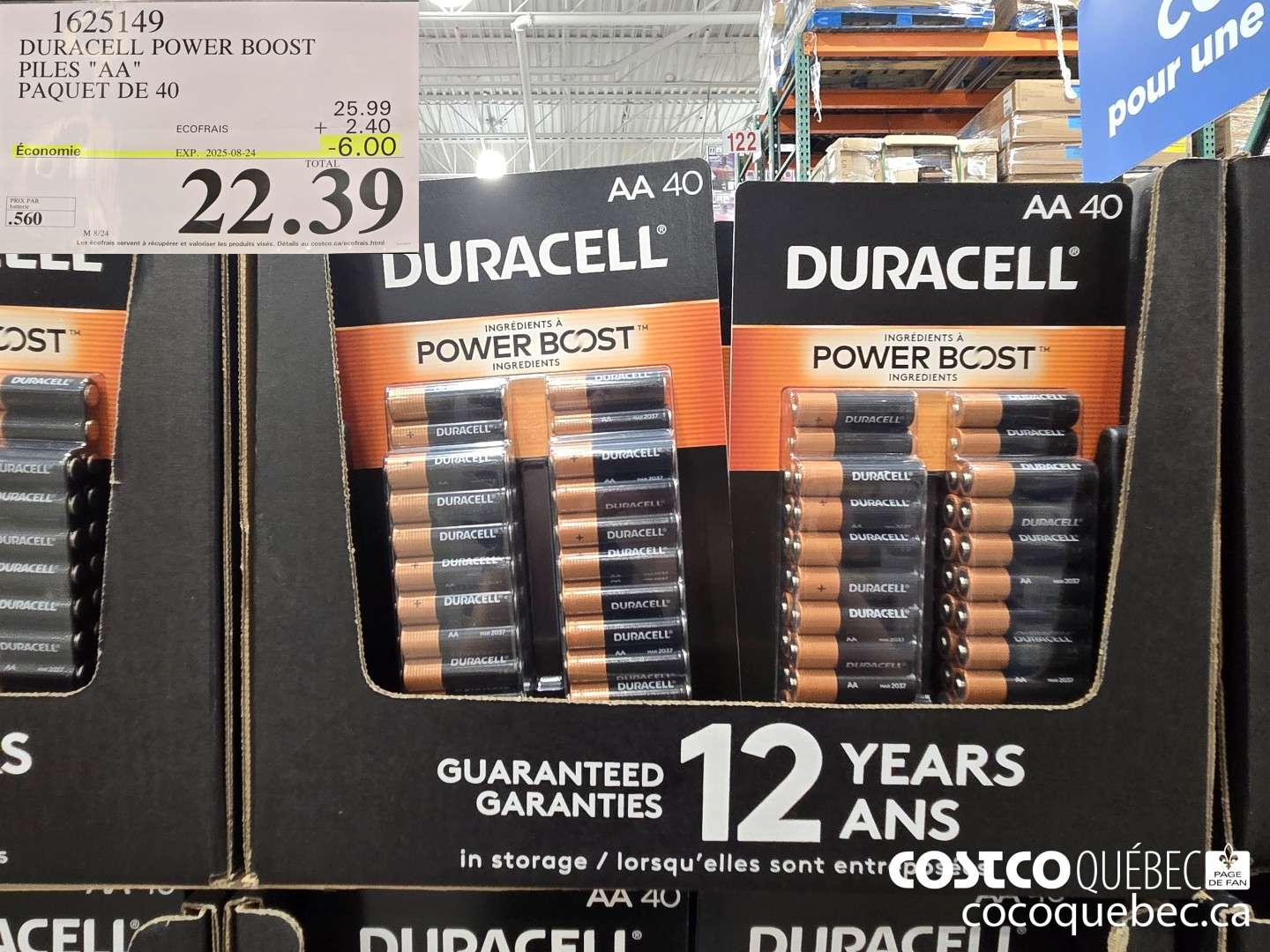 1625149 DURACELL POWER BOOST PILES 