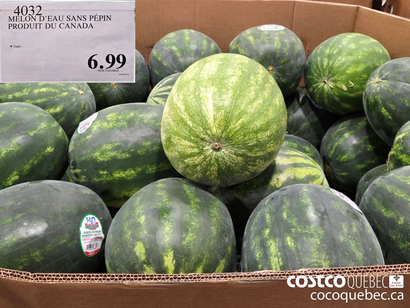 4032 MELON D'EAU SANS PEPIN PRODUIT DU CANADA  $6.99