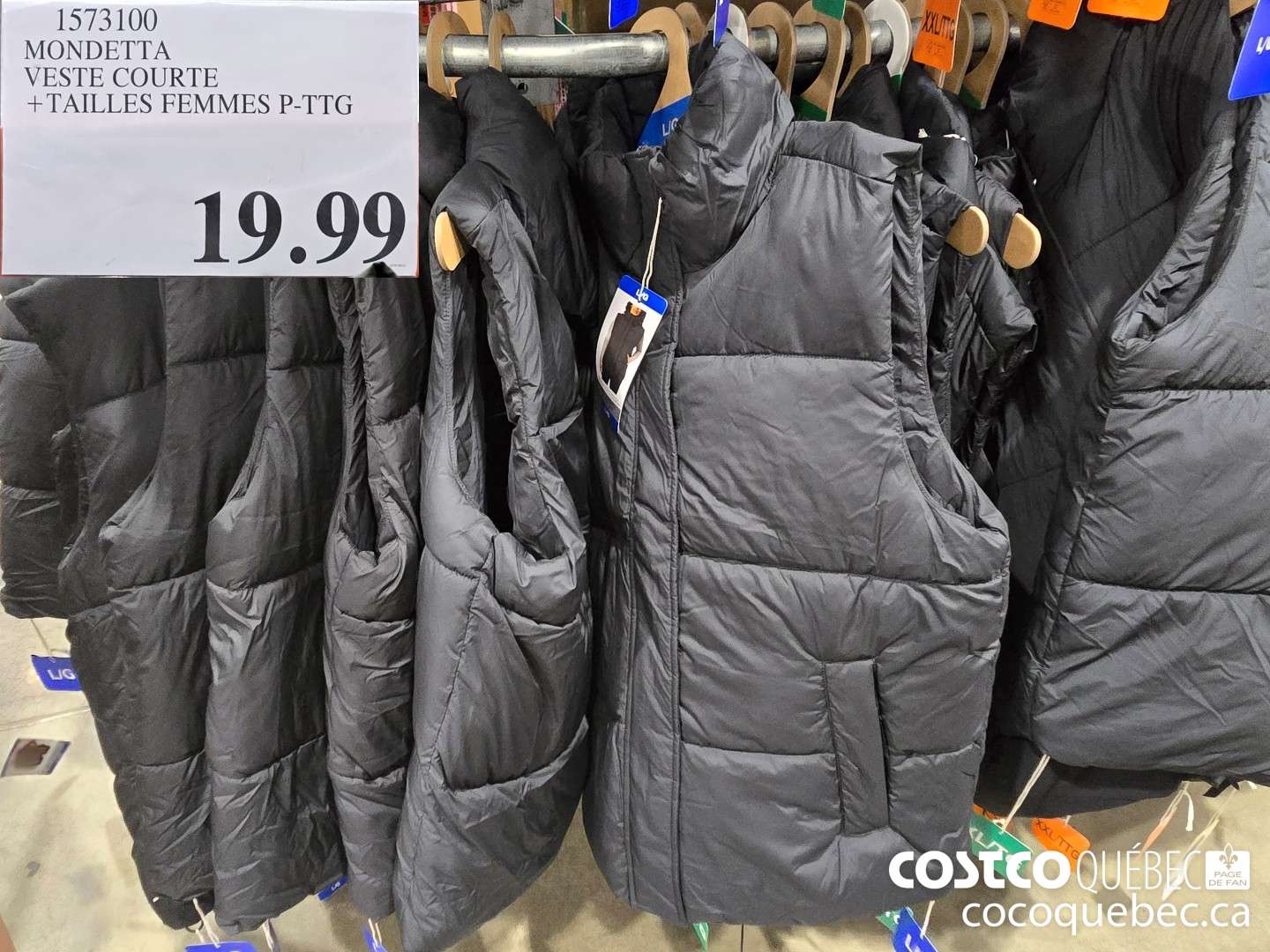 1573100 MONDETTA VESTE COURTE TAILLES FEMMES P-TTG  $19.99